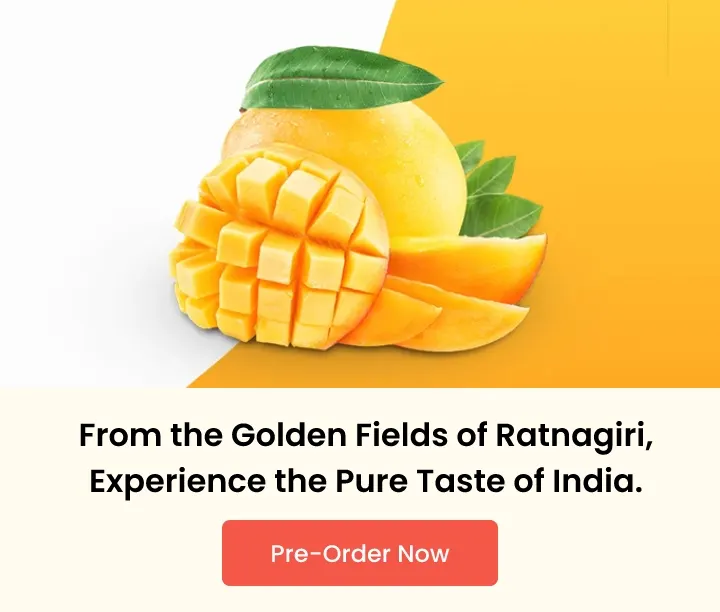 Alphonso Mango Online Indian Mango Online USA Quicklly