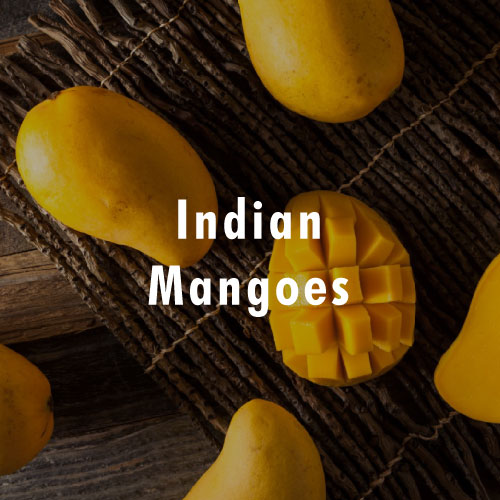 Indian Mangoes