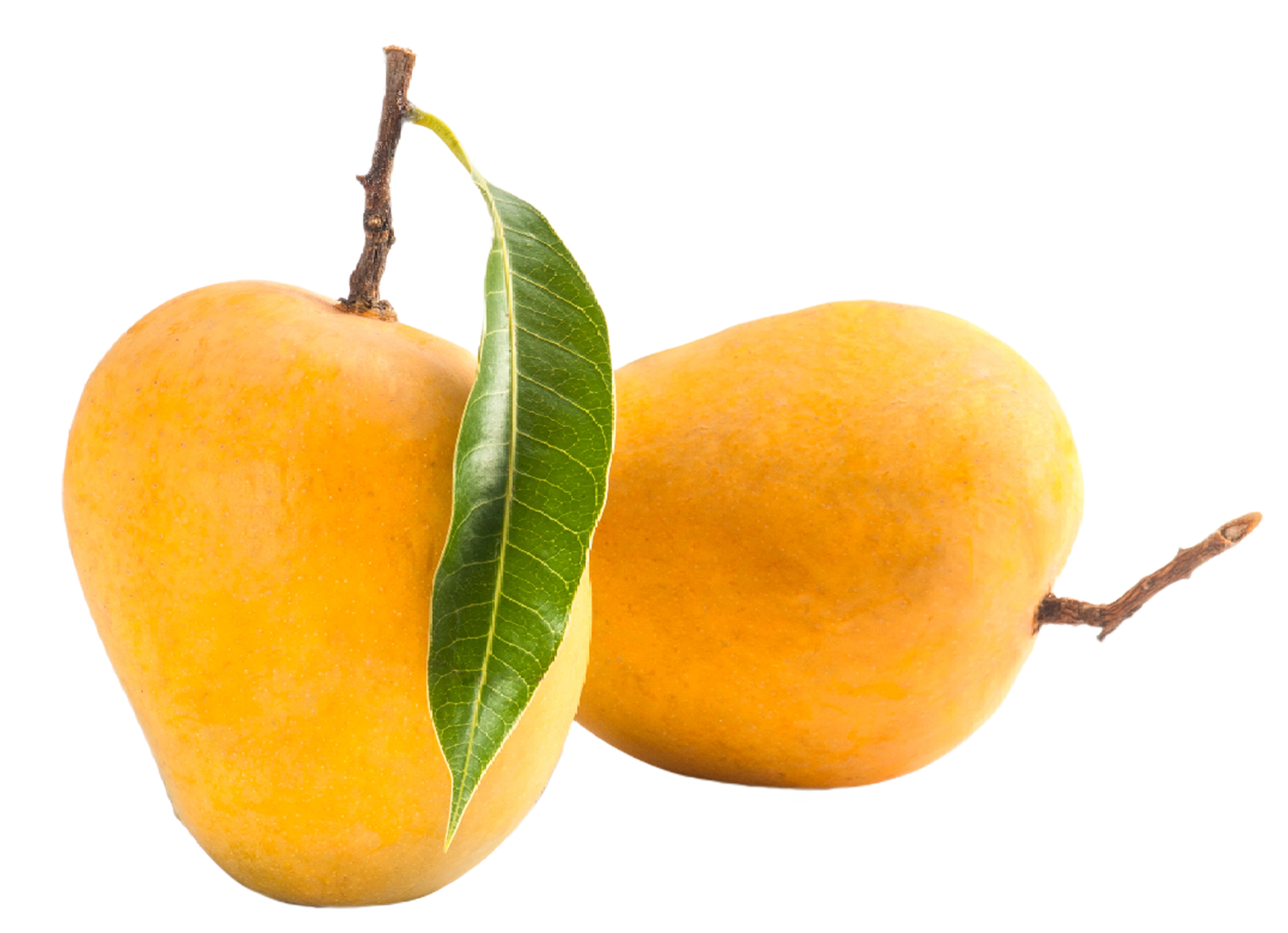 Mangoes Benifits