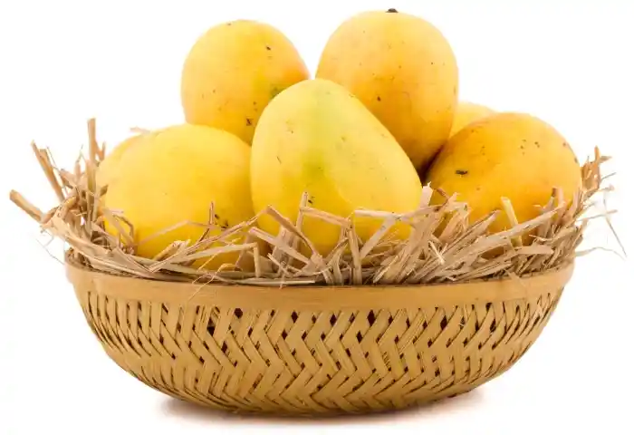 The king of Mangoes