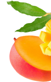 Indian Mangoes