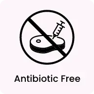 Antibiotic free
