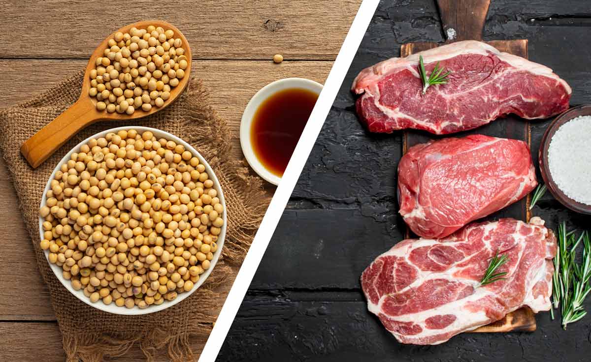 Soya Chunks vs. Meat: Which One is Better for Your Health?