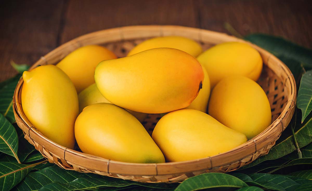 Alphonso Mangoes: Where to Find, Health Benefits, Important Facts