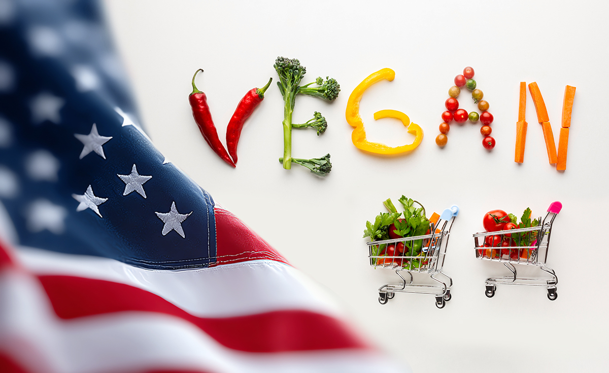 Best Vegan Indian Grocery Items You Can Buy Online in the USA