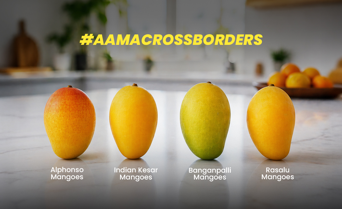 Best Indian Mango Varieties in the USA: Buying Guide and Tips