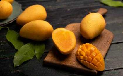Indian Alphonso Mangoes