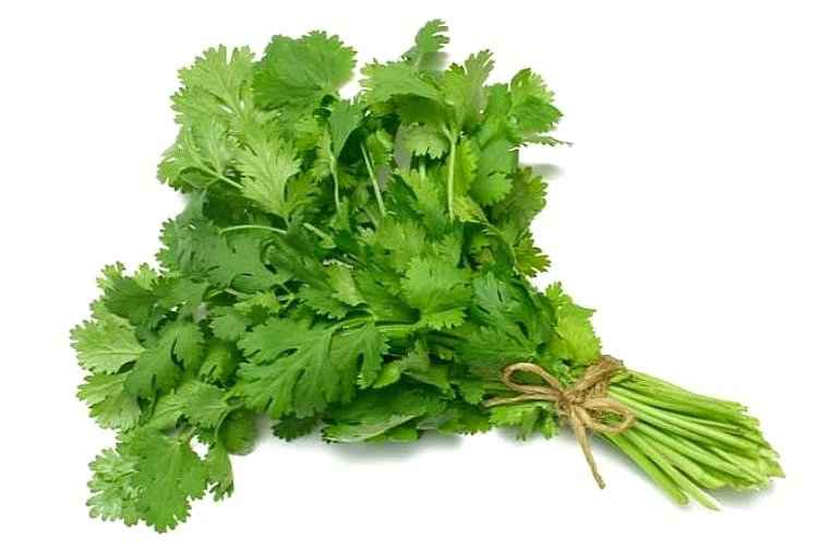 Buy Fresh Cilantro 1 Bunch Par Birdie Foods Quicklly