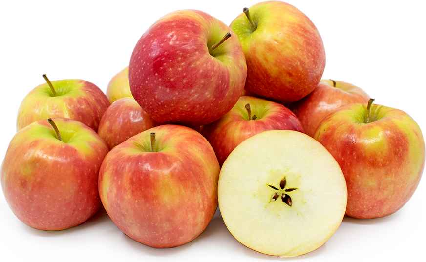 Buy Organic Pink Cripps Apple 1 Lbs Indiaco Quicklly