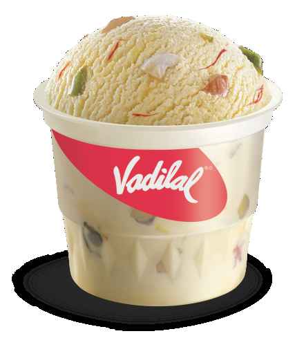 vadilal ice cream 10 litre price