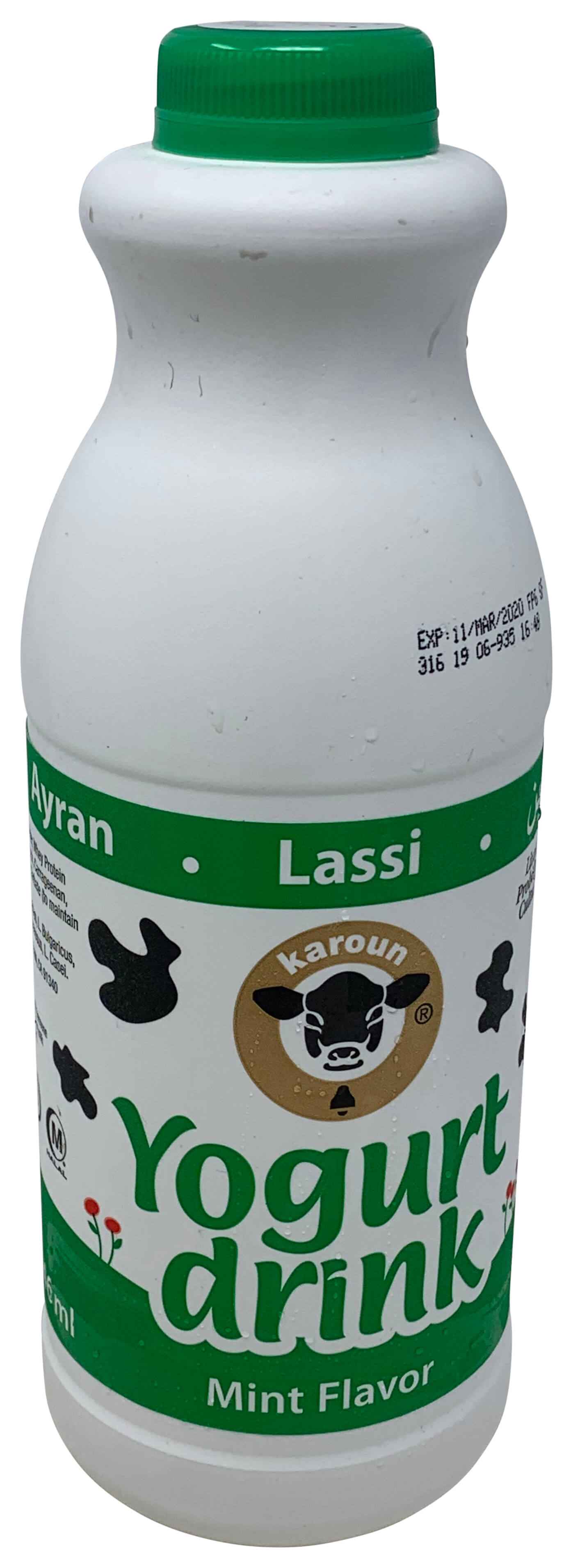 Buy Karoun Yogurt Drink Mint Flavor 16 Oz Apna Bazar Cash And Carry