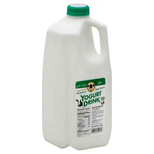 Buy Yogurt Drink Mint Karoun 0.5 Gallon Indiaco Quicklly