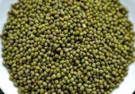 MOONG WHOLE SMALL GRAIN MARKET