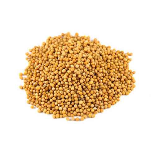 Buy Gazab Mustard Seeds 14 Oz Manpasand Quicklly