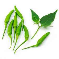 Buy Green Chilli Small 1 Lbs | Sold By Quicklly Edison - Quicklly