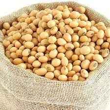 Swagat Soya Beans