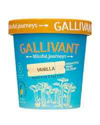Gallivant Vanilla Ice Cream