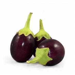 EGG PLANT(SMALL ROUND)
