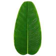 BANANA LEAVES