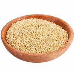Shastha Quinoa Plain