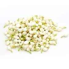 Jasmine Flower 6Ft