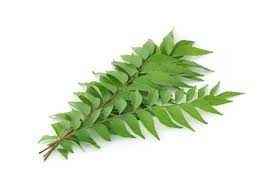 CURRY LEAVES 