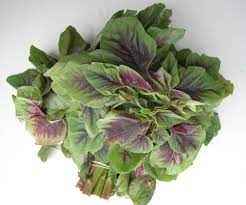 RED CHOY (AMARANTH)