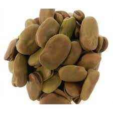 Imported Fava Beans Large