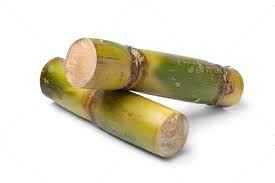 SUGARCANE GREEN