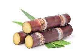 SUGARCANE RED