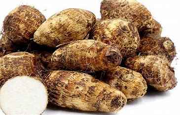 Taru Root(Chamadumpa)