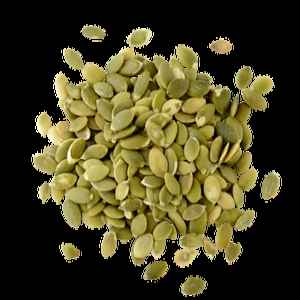 LA FIESTA SEMILLA PIPIANERA 