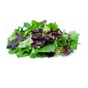 ORGANIC SPRING MIX 