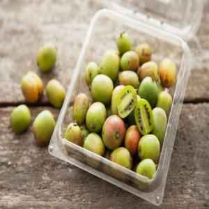 NORRIS KIWI BERRIES 