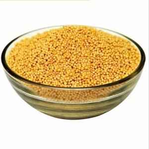 NIRWANA MUSTARD SEEDS YELLOW 