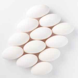18 LARGE GRADE AA EGGS RIPON
