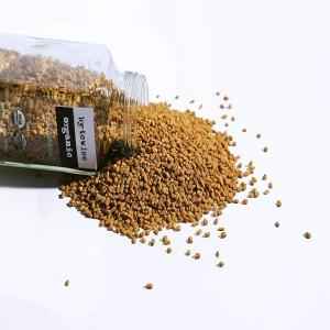 BYTEWISE ORGANIC FENUGREEK (METHI) SEEDS 