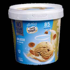 VADILAL ANJEER SUGAR FREE ICE CREAM 