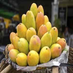 Buy Ripe Mango 1 Lbs | Patel Brothers - Quicklly