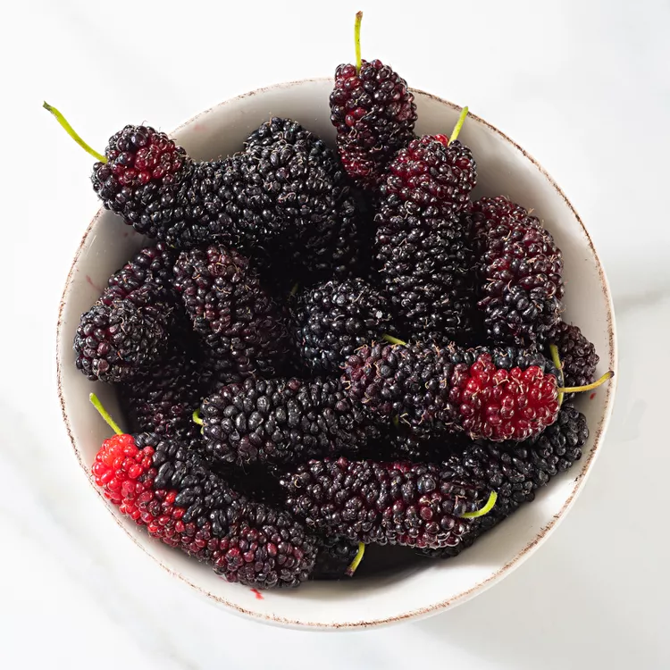 Krishiv Mulberries