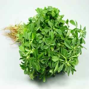 Methi Leaves