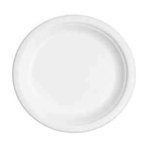 DINE AWAY 9INCH DINNER PLATE 