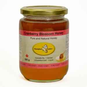 VEDIC KARELA NEEM JAMUN JUICE