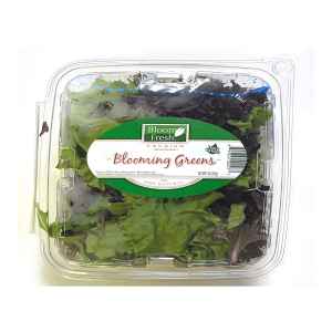 BLOOM FRESH BLOOMING GREEN