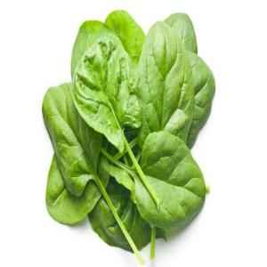 BABY SPINACH
