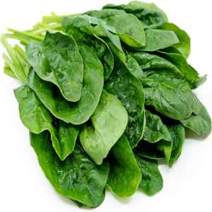 FIELD FRESH FARMS SPINACH BAG