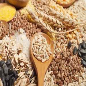 Panvivis 5 Cereali Riso  Orzo  Segale  Avena & Farro