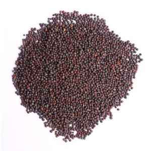 Ankur Mustard Seeds Small