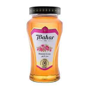 7 Bahar Pure Honey
