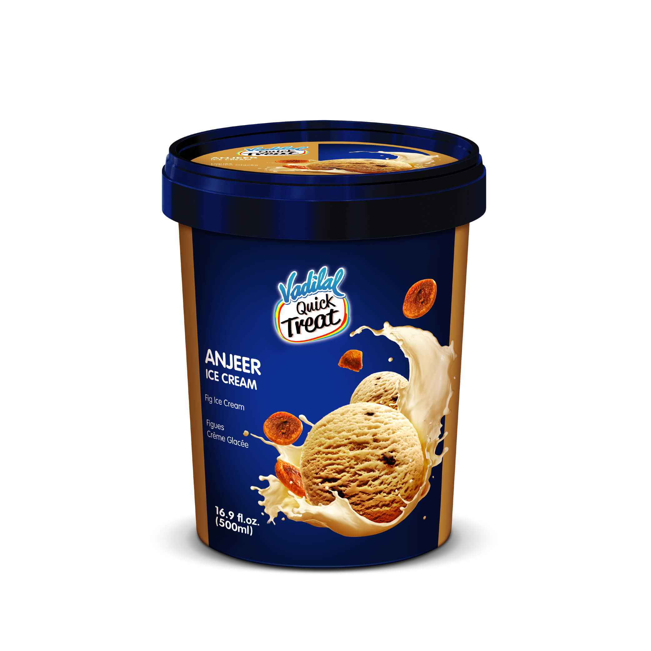 Vadilal Ice Cream Anjeer Ice Cream